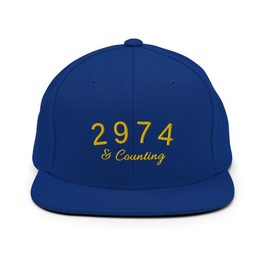 2974 And Counting Snapback Hat, Stephen Curry Embroidered Hat